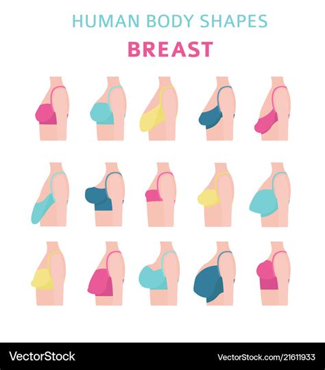 breast sizes photos|The 12 Different Breast Shapes and Types .